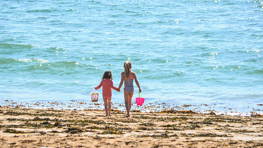 Family Things to Do in Sandbanks Rumsey of Sandbanks